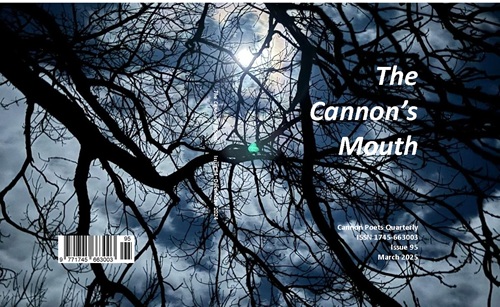 The Cannon's Mouth 95 March 2025